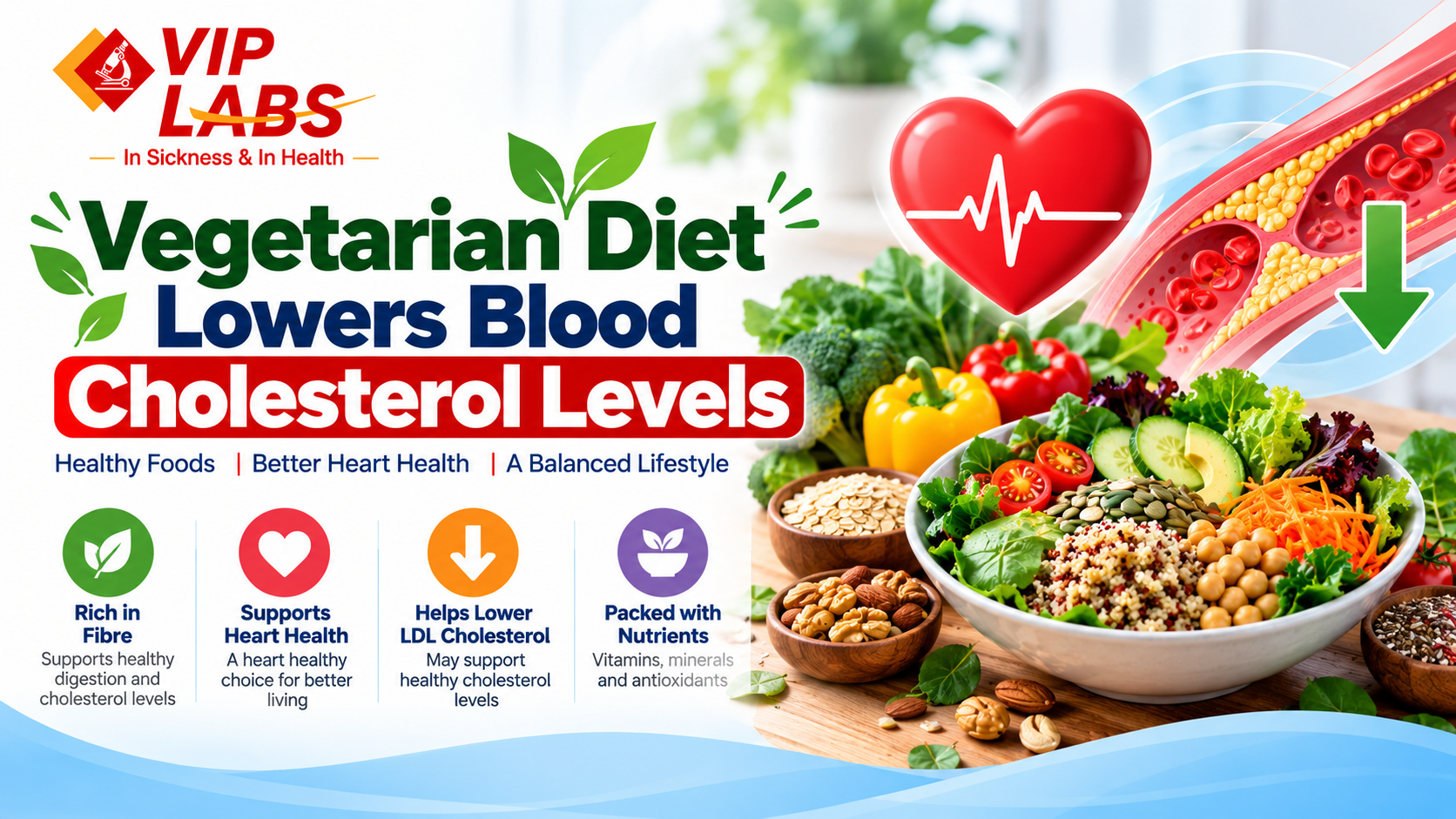 Vegetarian Diet lowers blood Cholesterol Levels